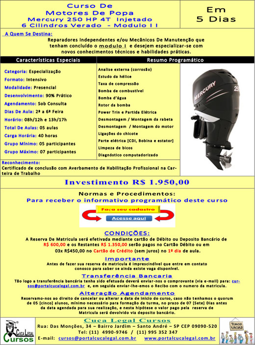 Curso de Motores de Popa Intensivo